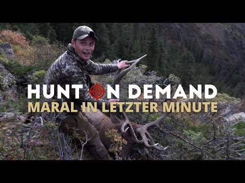 Maral at the last minute 🇰🇿 by @hunterbrothersofficial