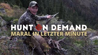 Maral in letzter Minute 🇰🇿 von @hunterbrothersofficial