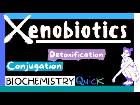Xenobiotics | Metabolism of Xenobiotics | Detoxification |  Conjugation | Biochemistry MBBS 1st yr