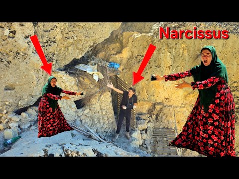 In Search of Narges and Ali: Muhammad's Quest🗻