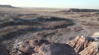 Noveller - St. Vincent - Day 15, Drive Day - Petrified Forest