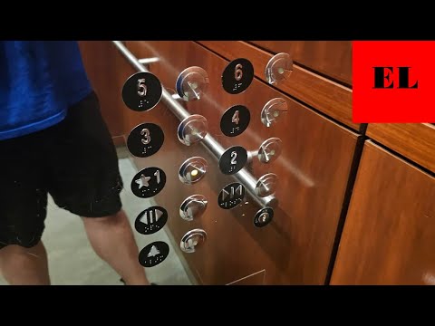 Nice & Shiny Thyssen Dover SPF Traction Elevators - Forum 4 (Raleigh, NC)