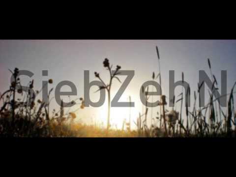 SiebZehN & Miko - Live At Spiritual Healing Open Air 2009