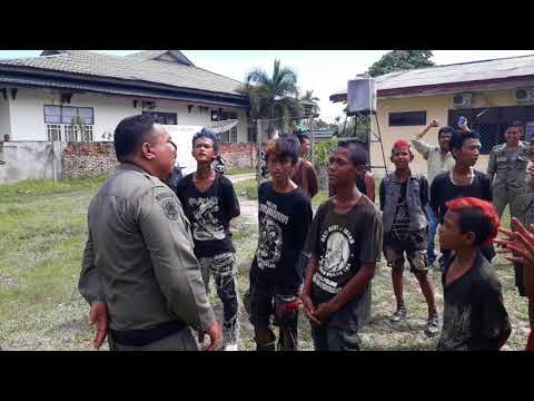 download lagu mp3 mp4 Lagu Anak Punk Jambi, download lagu Lagu Anak Punk Jambi gratis, unduh video klip Lagu Anak Punk Jambi