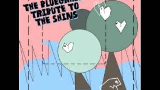 Pickin&#39; On Series - Gone for Good (The Shins)