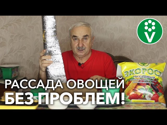 ВЫ ТОЖЕ СОВЕРШАЕТЕ ЭТИ ОШИБКИ ПРИ ПОСЕВЕ! Доступные СПОСОБЫ избежать проблем РАССАДЫ