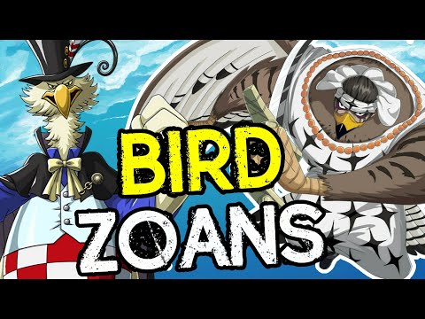 🐦 BIRD ZOANS In One Piece!! 🐦
