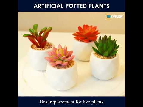 Modern Ceramic Pots with High Quality Artificial Plants (Set of 4)- 6 x 8 cm