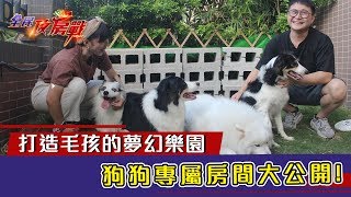 共築毛孩的夢幻樂園 兩人五犬北歐日光宅