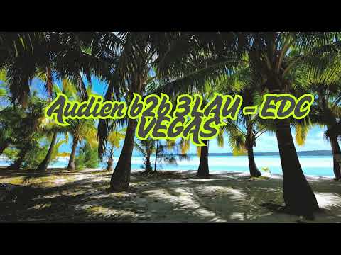 Audien b2b 3LAU - EDC VEGAS (High Quality)