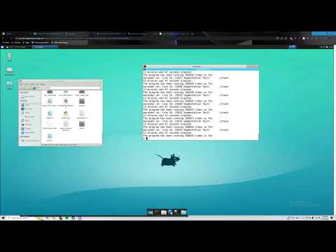 Buffer Overflow Attack Lab Part 2