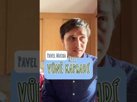 Pavel Mucha - Vůně kapradí 💔 Pro Nikol #pisen #podzim #pisnicka #pisnickar #autor  #piano #klavir