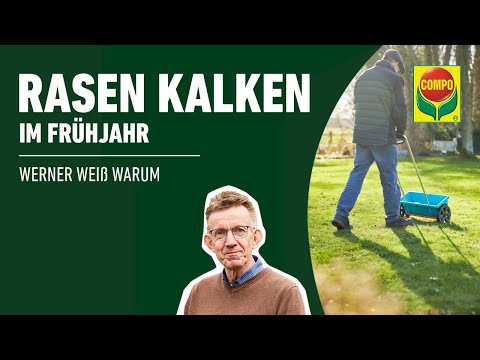 Rasen kalken im Frühjahr | COMPO