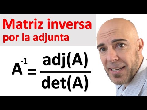 HALLAR LA INVERSA DE UNA MATRIZ USANDO LA ADJUNTA. Matriz inversa por la fórmula, COFACTORES