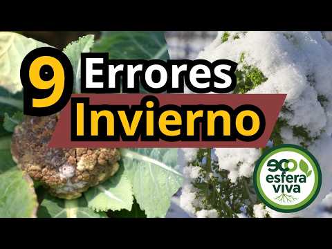 Winter Garden Woes: 9 Mistakes to Avoid Now