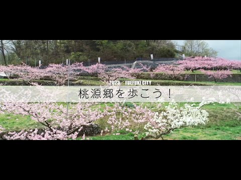 桃源郷を歩こう! 2024