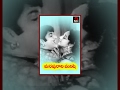 Marapurani Manishi Telugu Full Length Movie ANR