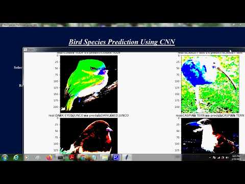 Bird Species Detection using Deep Learning - VGG16 model