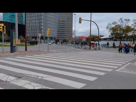 4K 2160p 30fps main camera   Galaxy A36