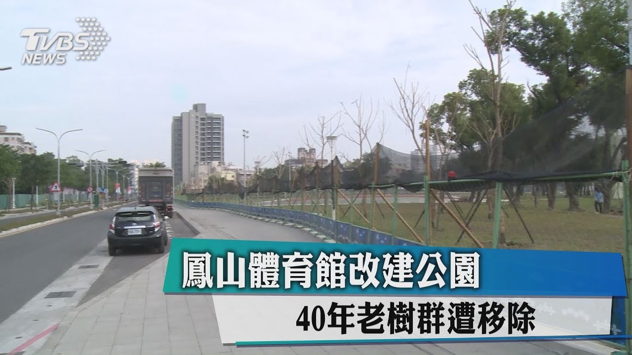 鳳山體育館改建公園 40年老樹群遭移除