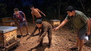 ESCONDI R$ 50.000 EM UM APIÁRIO DE ABELHAS E DESAFIEI QUEM ENCONTRA PRIMEIRO