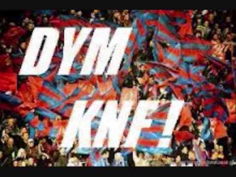 DYM KNF-ZROZUMIESZ TO POJMIESZ