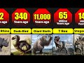 When Did Different Animals Gone Extinct Time Periods Of Extinction Of Different Extinct Animals