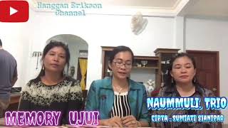 Download lagu #Lagu #Batak #Viral ibu - Ibu dari Tanjung Uban (Bintan) #NAUMMULI #TRIO  #MEMORY #UJUI mp3