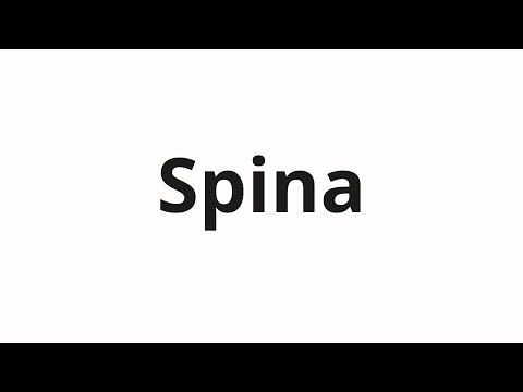 How to pronounce Spina | Спина (Back in Russian)
