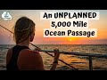 Covid Sailing: An Unplanned 5,000 mile Pacific Ocean passage Ep. 13