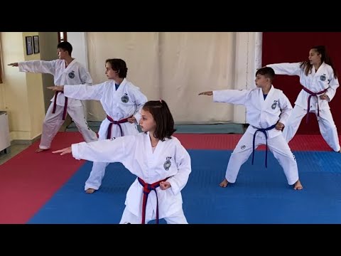 Training /Taekwondo ITF Team Pattern Do-San Tul