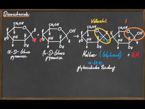 Q 11 Disaccharide