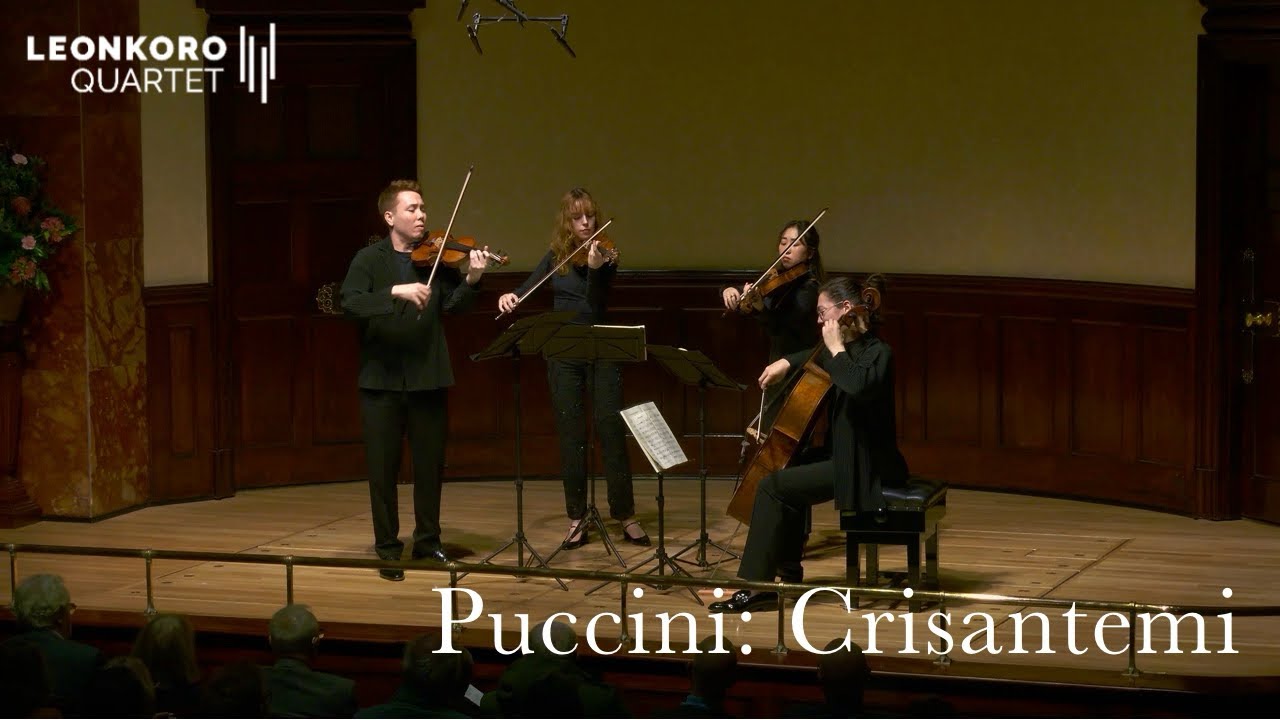 Puccini - Crisantemi