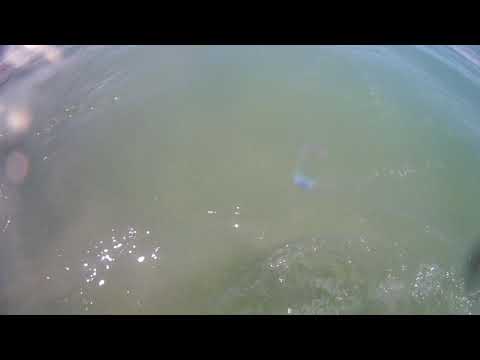 Sayuliya beach!🤙🏽