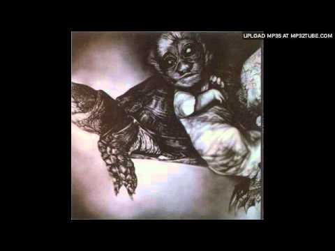 Of Cabbages And Kings - Bunga Bunga