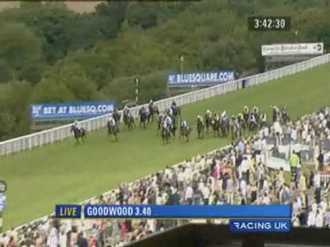 2010 Goodwood  Bluesq.com Stewards Cup