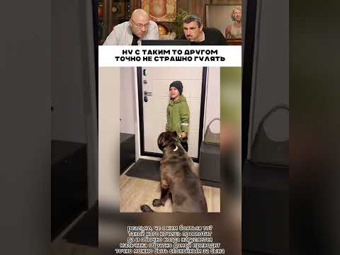 С таким то другом не страшно 😹