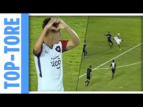 Traum-Volley in der Copa Libertadores