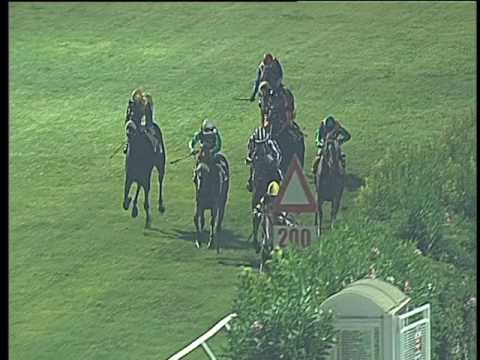 Galoppo 09/08/2017 - 6ª corsa