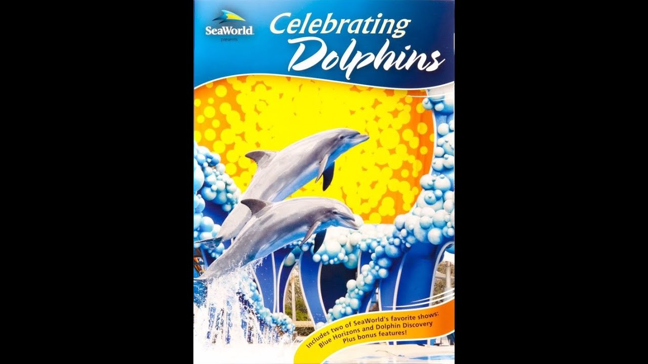 Celebrating Dolphins SeaWorld