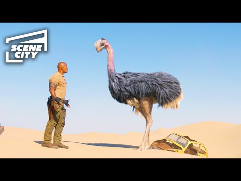 Jumanji The Next Level: Ostrich Chase Scene (The Rock, Kevin Hart 4K HD Clip) | With Captions