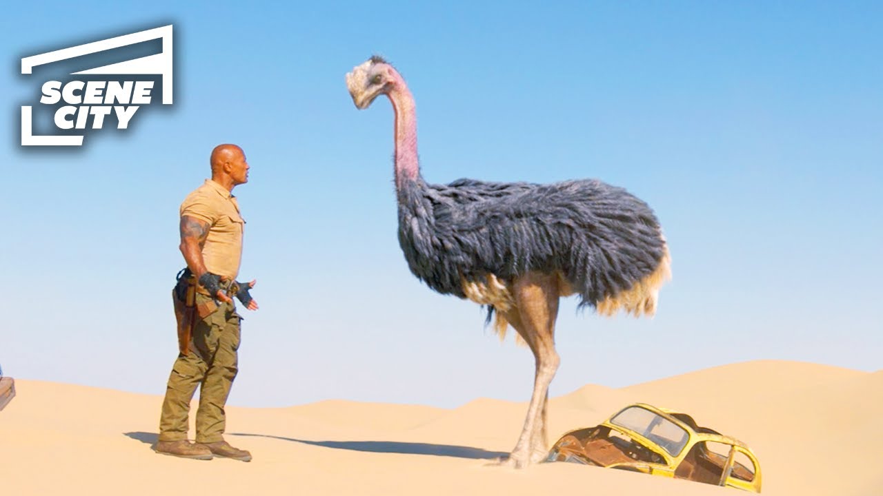 Jumanji The Next Level: Ostrich Chase Scene (The Rock, Kevin Hart 4K HD Clip) | With Captions