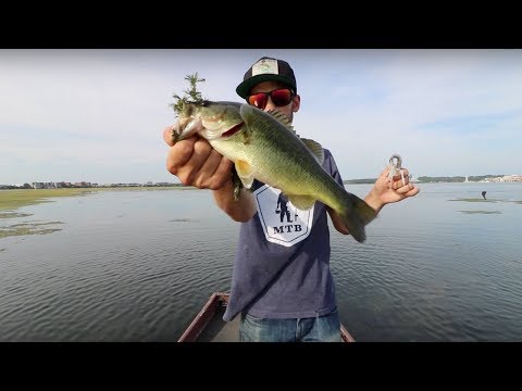 Sunny vs. Overcast Conditions: Tips For Fishing Changing Weather