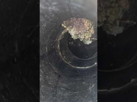 Como destapar una cañeria 05