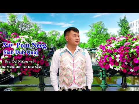 xav pom neeg siab dub quaj tub huas xyooj