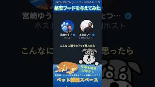 激安フードと良質フードの違い