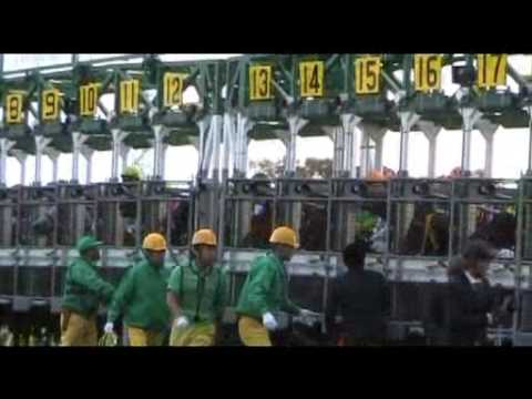 THE QEEN ELIZABETH Ⅱ COMMEMORATIVE CUP 2009