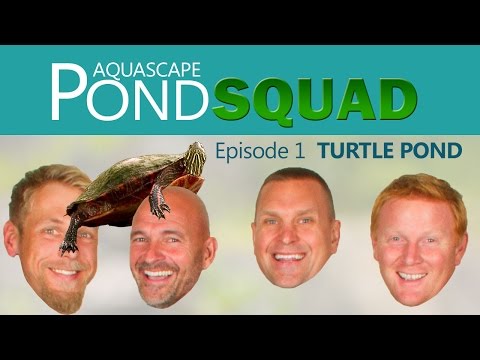 Aquascape Pond Squad - Turtle Pond - Episode 1