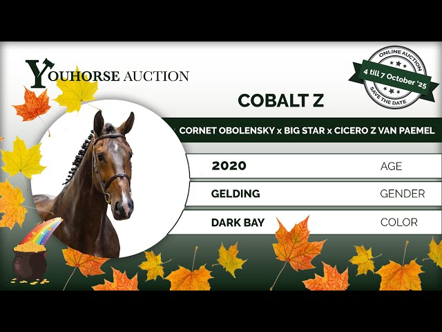 Cobalt Z showvideo