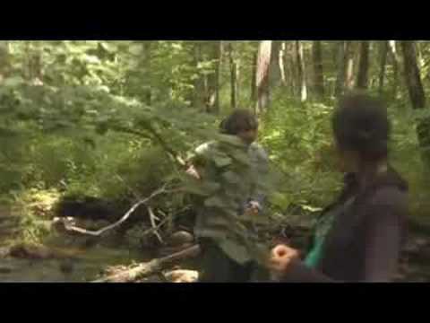 Welcome to Earthlands